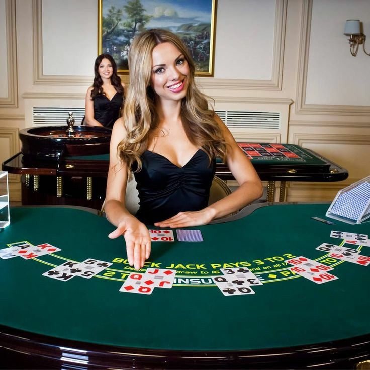 win855 Live Casino